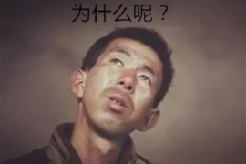 鄢陵鄢陵的要账公司在催收过程中的策略和技巧有哪些？